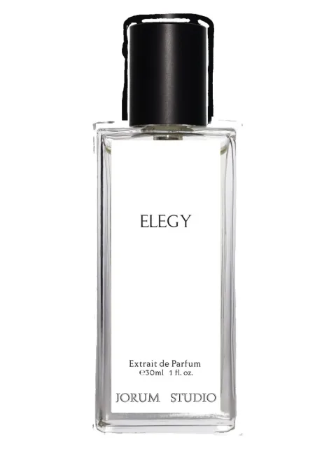Elegy