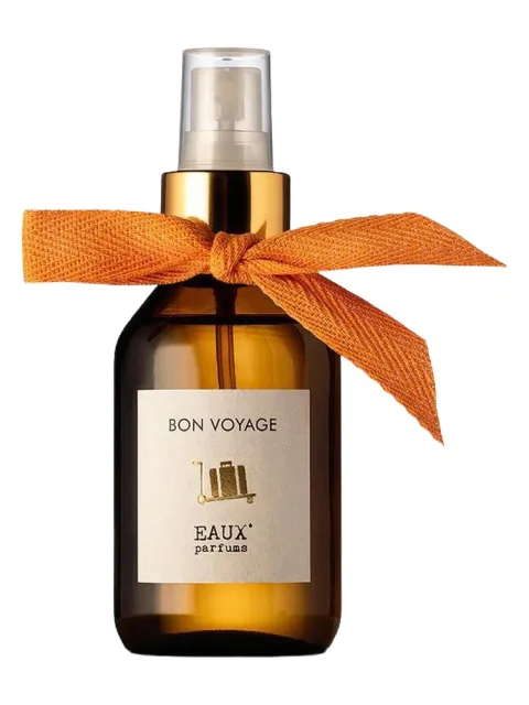 Bon Voyage