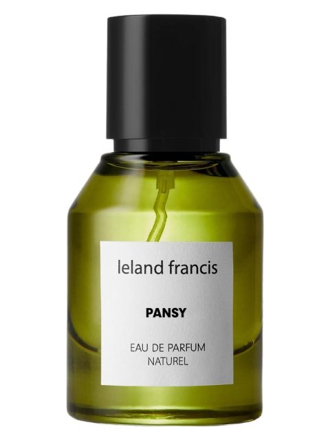 Pansy