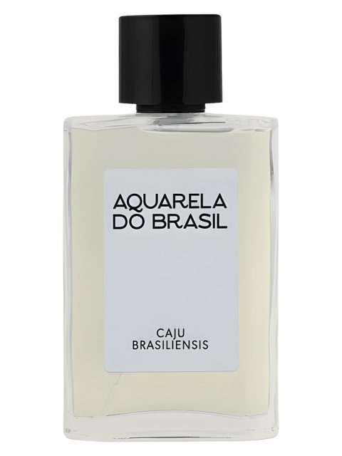 Caju Brasiliensis