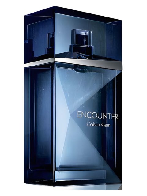 Encounter