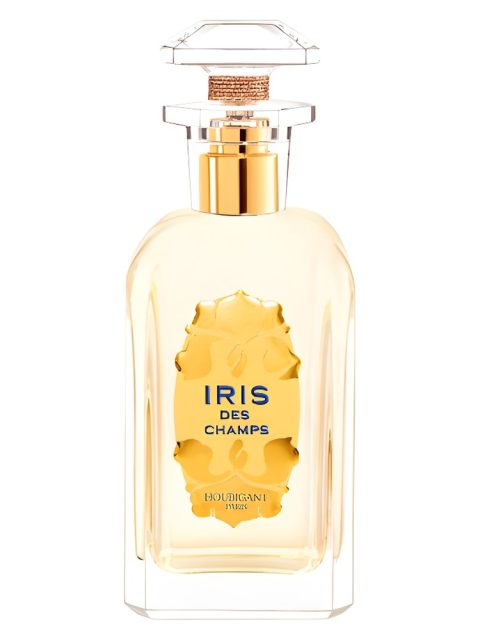 Iris des Champs