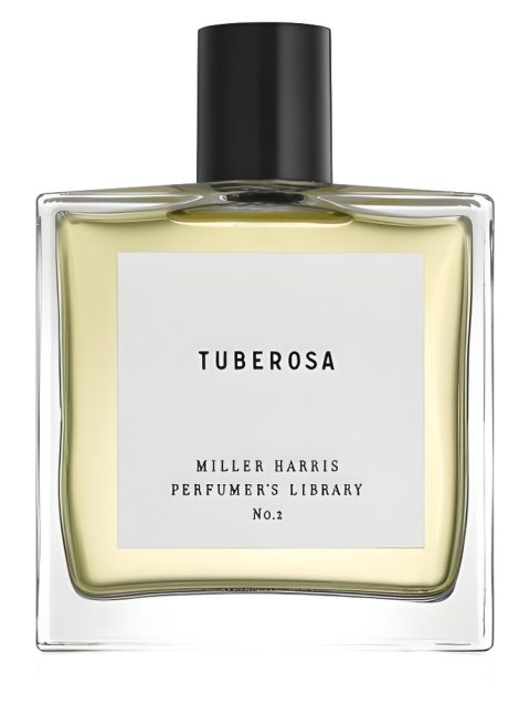 Tuberosa