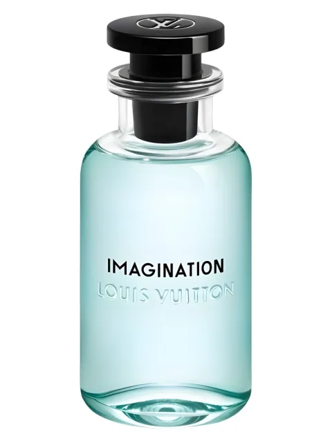 Imagination