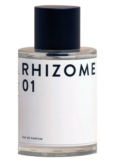 Rhizome 01