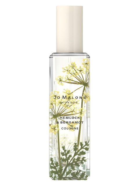 Hemlock & Bergamot