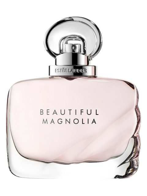 Beautiful Magnolia