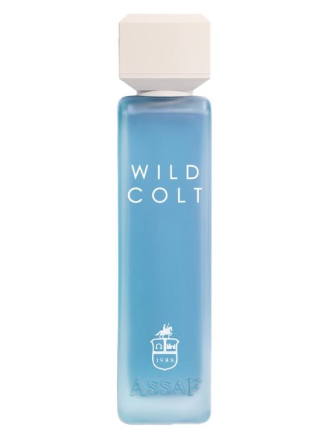 Wild Colt