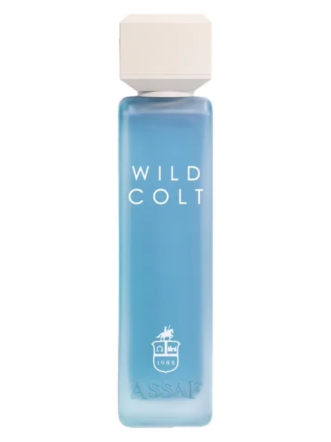 Wild Colt