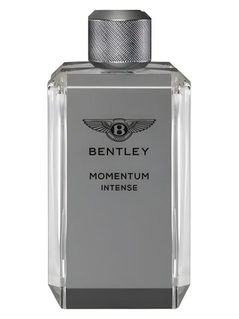 Momentum Intense