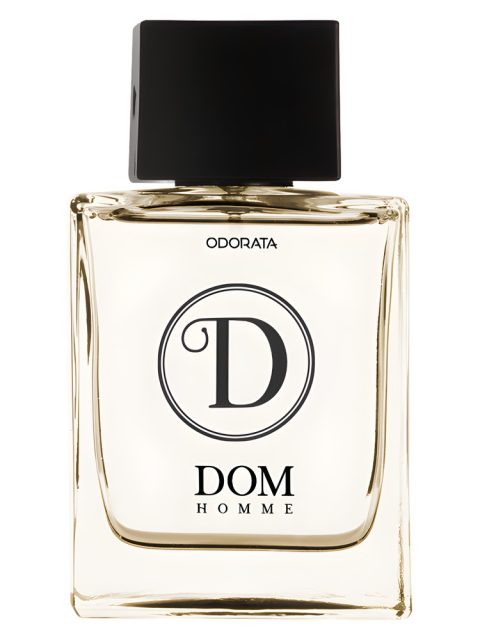 Dom Homme