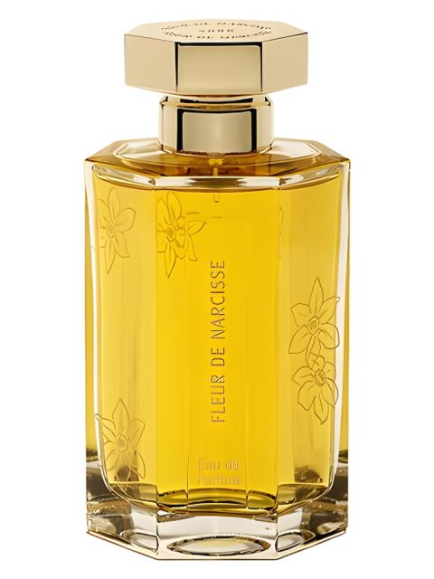 Fleur de Narcisse 2006