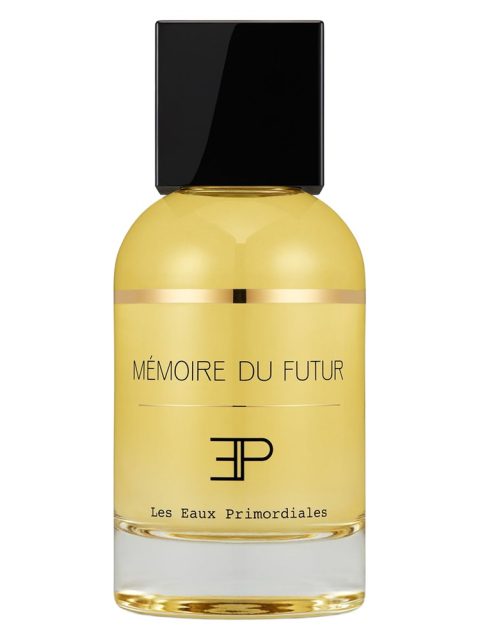 Memoire du Futur
