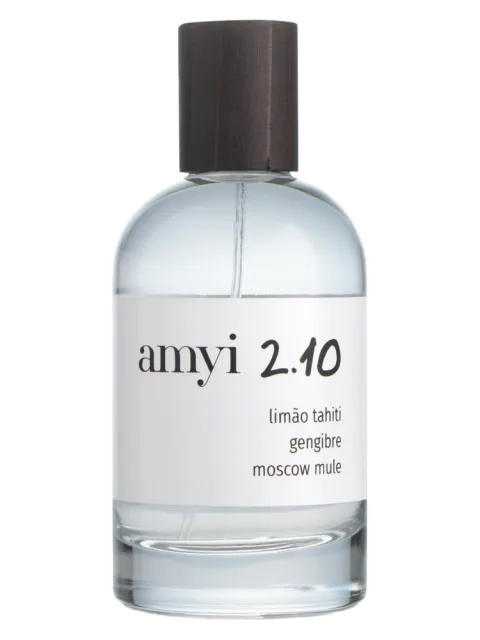 Amyi 2.10
