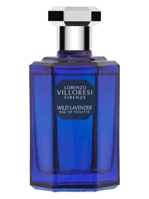 Wild Lavender