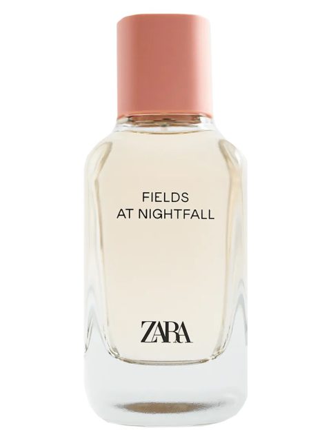Fields at Nightfall 2020