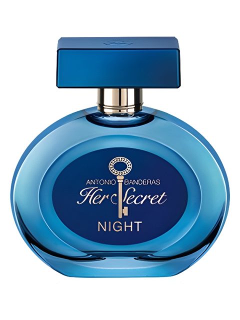 Her Secret Night