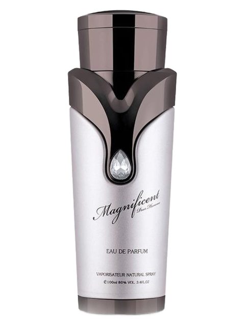 Magnificent Pour Homme