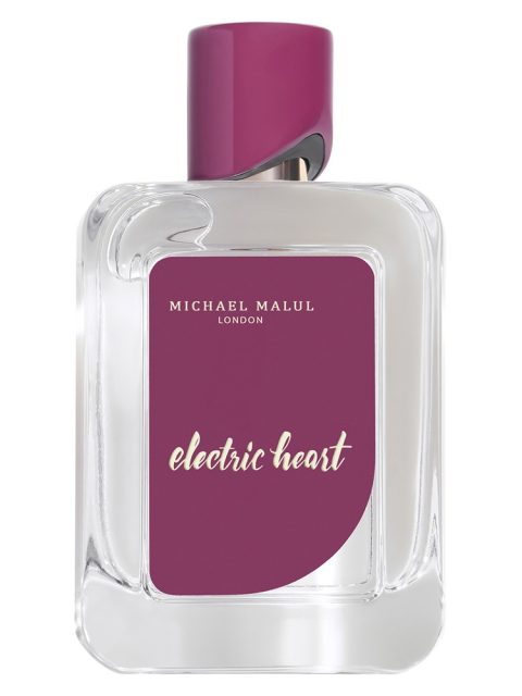 Electric Heart