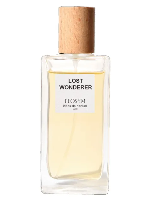 Lost Wonderer