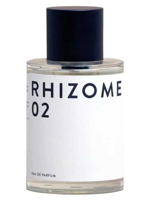 Rhizome 02