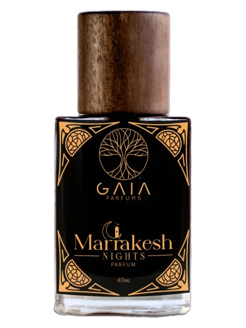 Marrakesh Nights