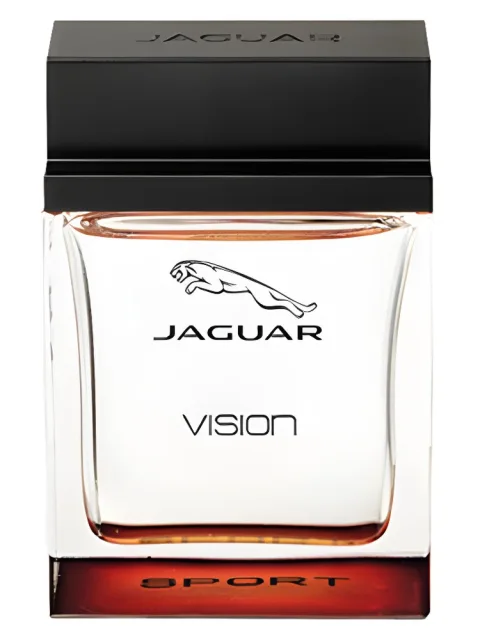 Jaguar Vision Sport