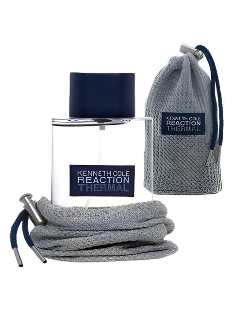 Reaction Thermal