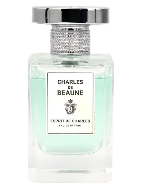 Esprit de Charles