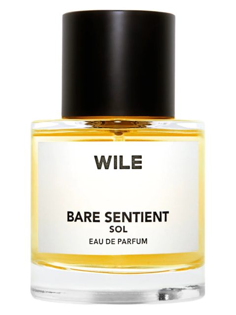 Bare Sentient Sol