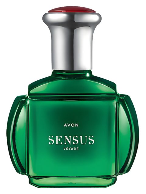 Sensus Voyage