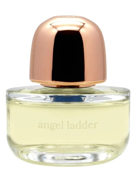 Angel Ladder