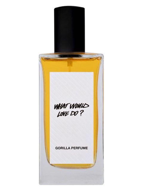 What Would Love Do