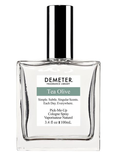 Tea Olive