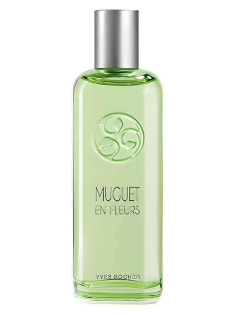 Muguet En Fleurs