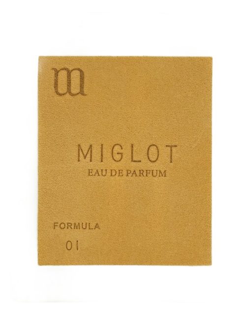 Formula 01