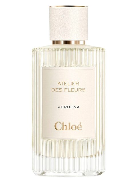 Verbena