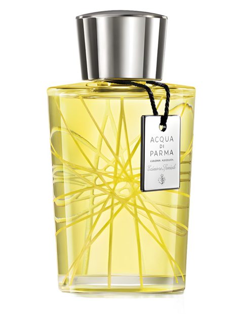 Colonia Assoluta Edizione Speciale 2013