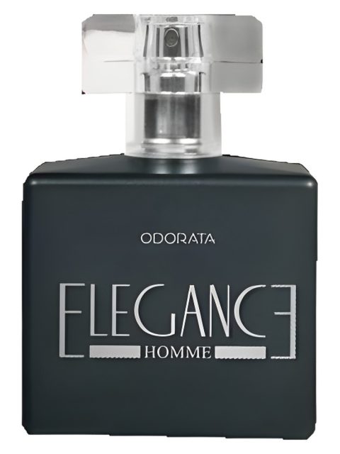Elegance Homme