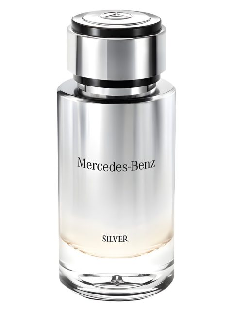 Mercedes-Benz Silver