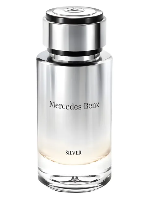 Mercedes-Benz Silver