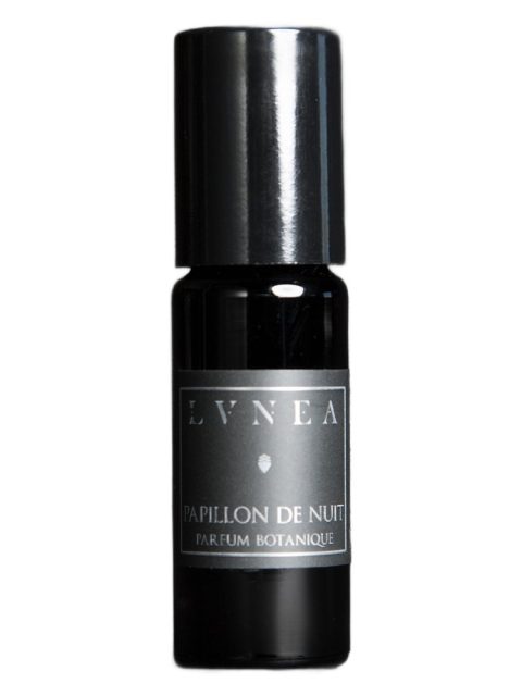 Papillon de Nuit