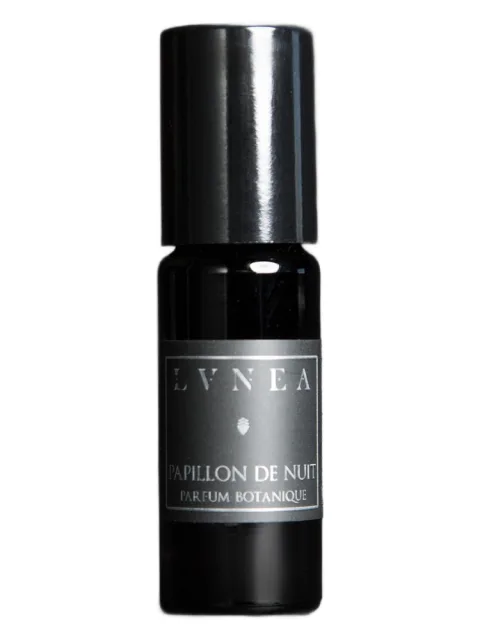 Papillon de Nuit