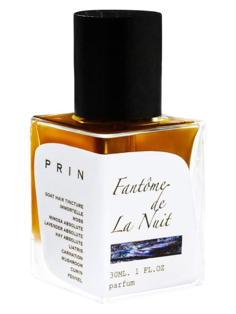 Fantôme De La Nuit