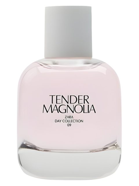 Tender Magnolia