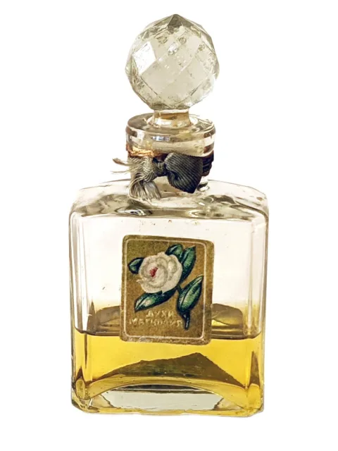 Магнолия (Magnolia)