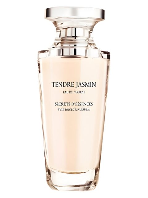 Tendre Jasmin