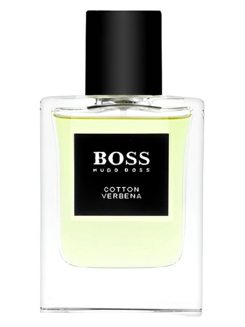 BOSS The Collection Cotton & Verbena