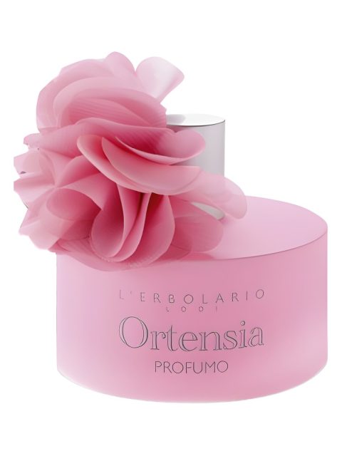 Ortensia