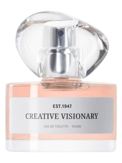Creative Visionary